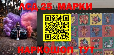 крисы Гатчина