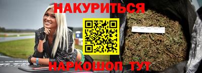 крисы Гатчина