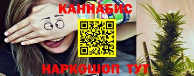 крисы Гатчина