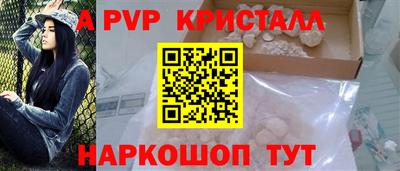 крисы Гатчина