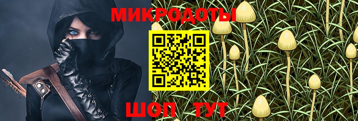 Псилоцибиновые грибы Psilocybe Сызрань